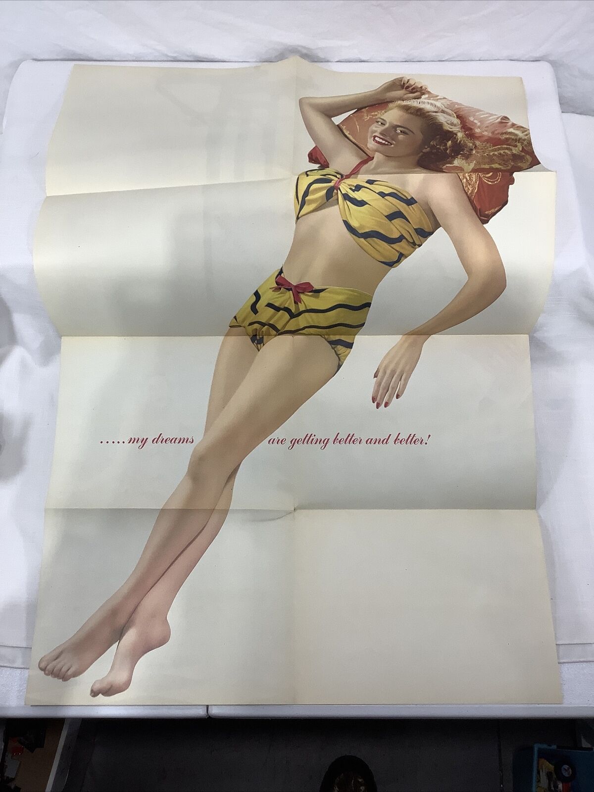 FOLD OUT MULTIPLE FOLDING PIN UP POSTER 22\