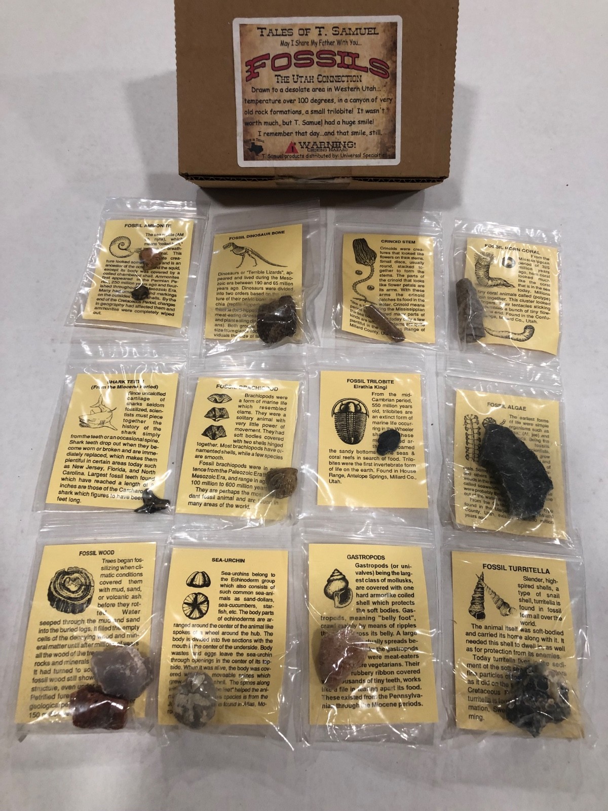12 Piece Fossil Collection - 12 Specimens w/ Fact Sheet Great for Starting Out 12 Piece Fossil Collection - 12 Specimens w/ Fact Sheet Great for Starting Out