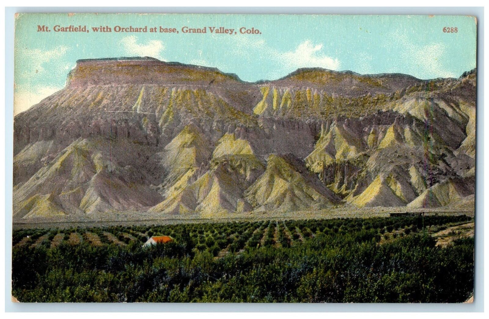 c1910\'s Mt. Garfield With Orchard At Base View Grand Valley Colorado CO Postcard