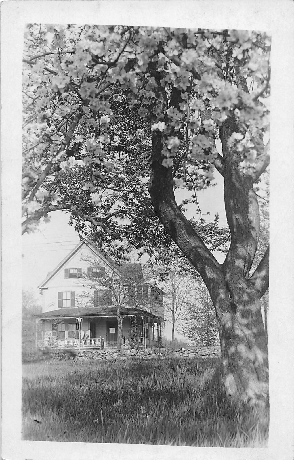 G79/ Cambridge? Massachusetts RPPC Postcard c1910 The Page Home 9