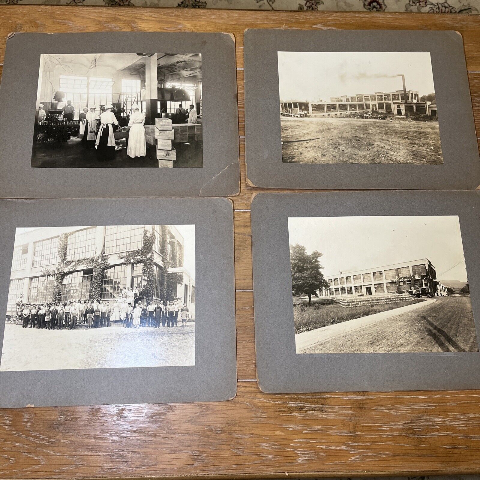 4 Antique Vtg 1900's Chocolate Factory Plant Press Photos, Rexall Highland, NY