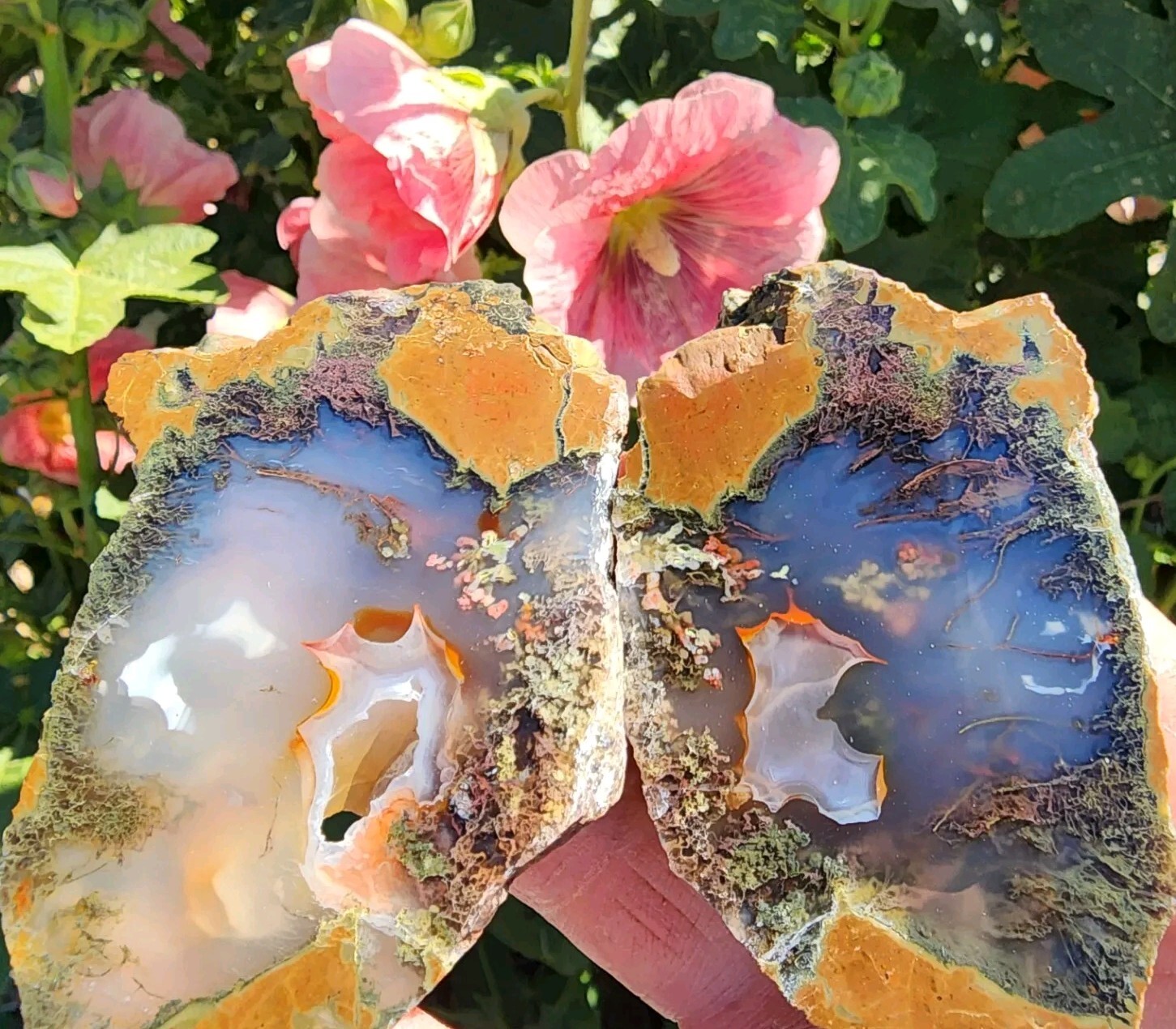 Priday Plume Agate - Museum Polished - Rare - Beautiful Flower Plumes (151 gram)