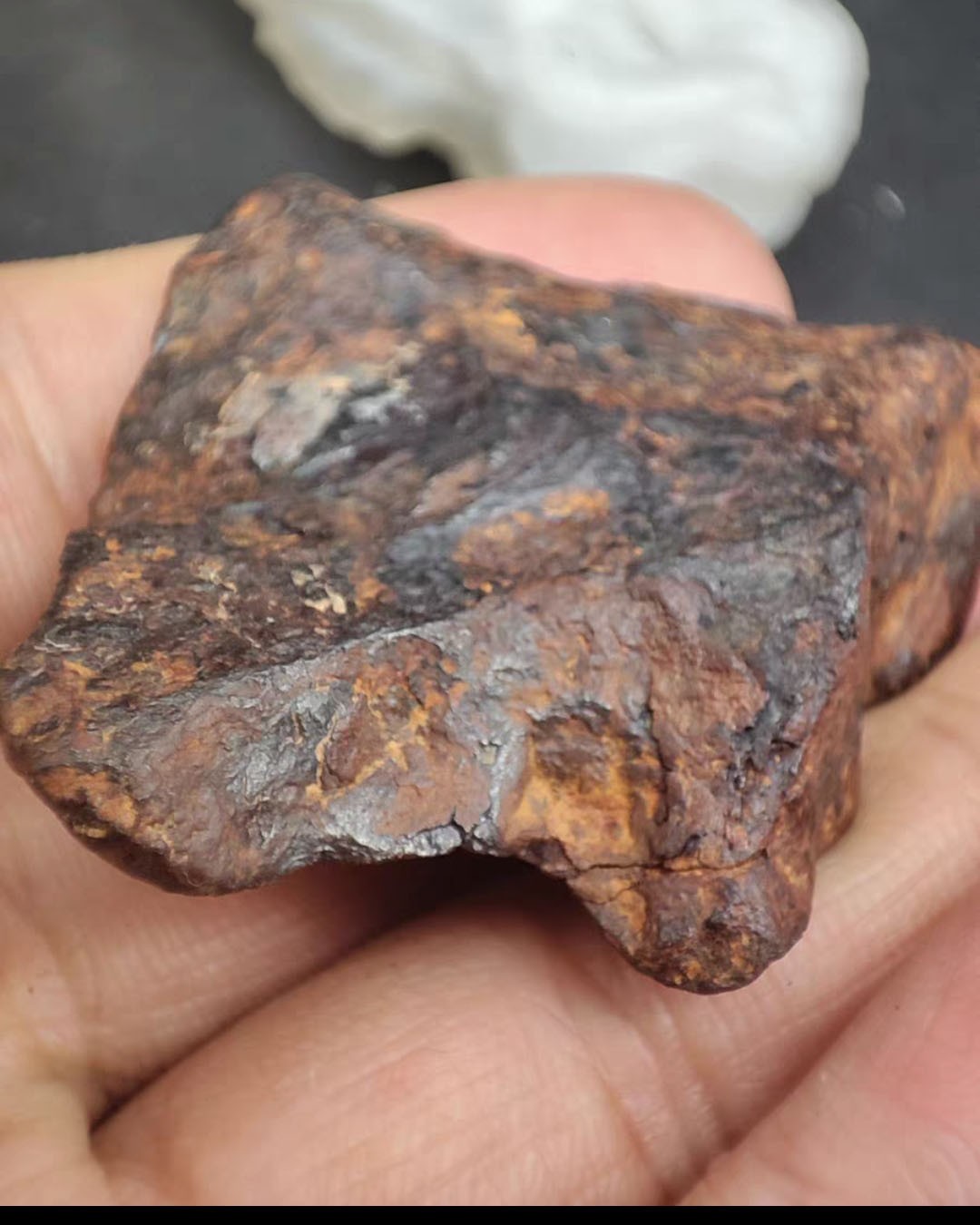 74g Moroccan Agusta iron meteorite Agoudal meteorite