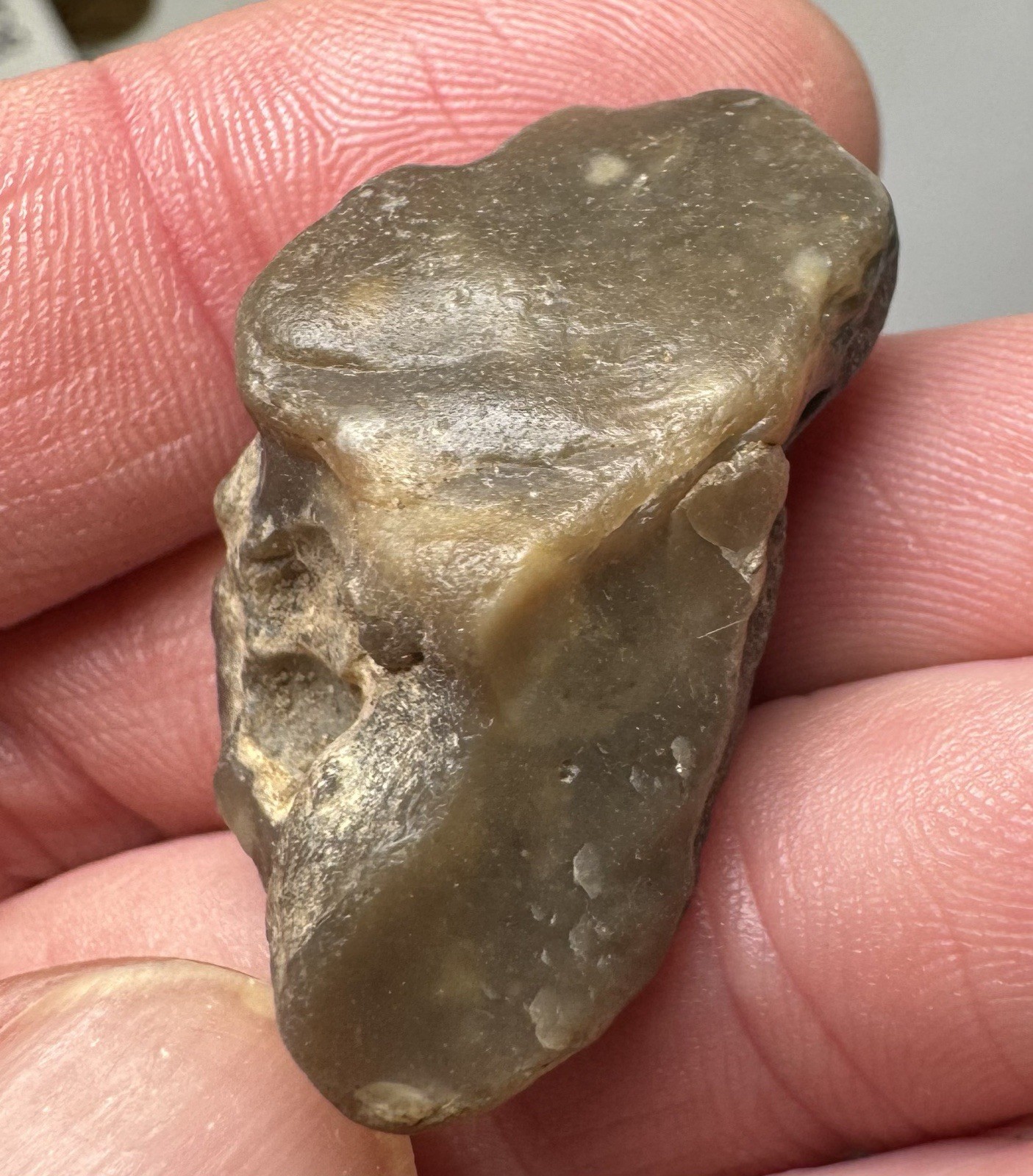 53.65 Ct Natural Star Sapphire Rough Old Pressley Mine Canton NC 10.73g Raw