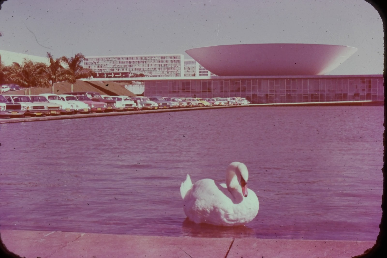 c1960's 35mm Slide, Brasilia Brazil, National Congress Building, Modernist