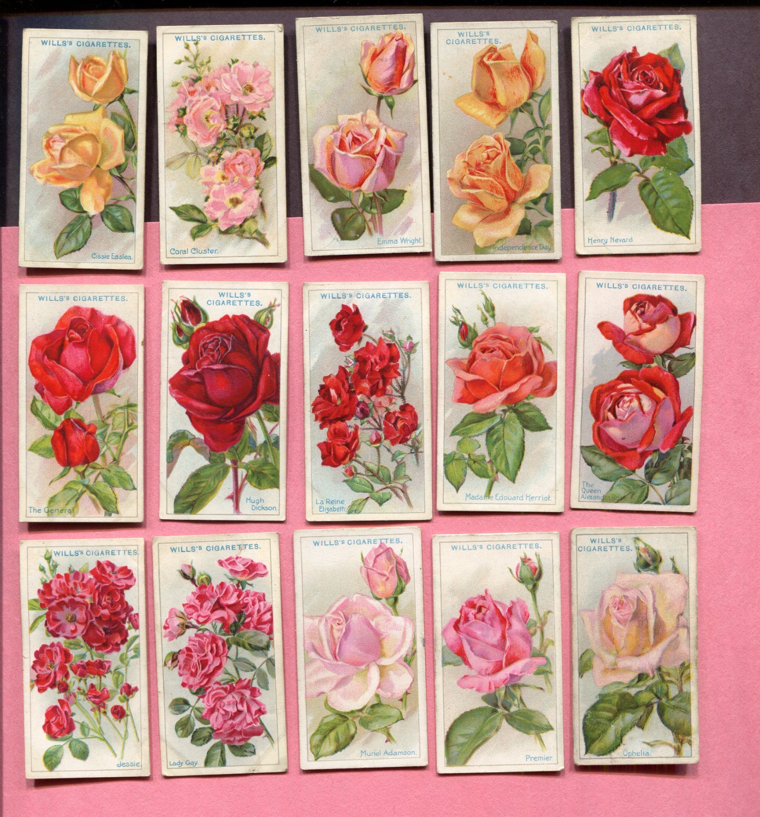 1926 W.D. & H.O. WILLS ROSES 15 DIFFERENT TOBACCO CARD LOT 1926 W.D. & H.O. WILLS ROSES 15 DIFFERENT TOBACCO CARD LOT