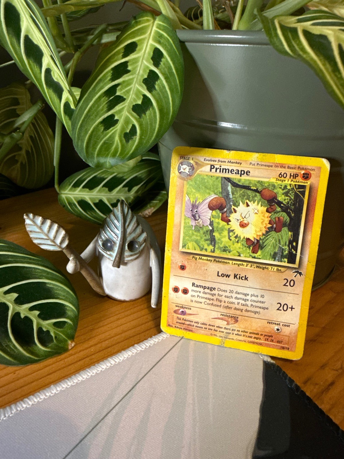 Primeape 18/18 Southern Islands Pokemon DMG
