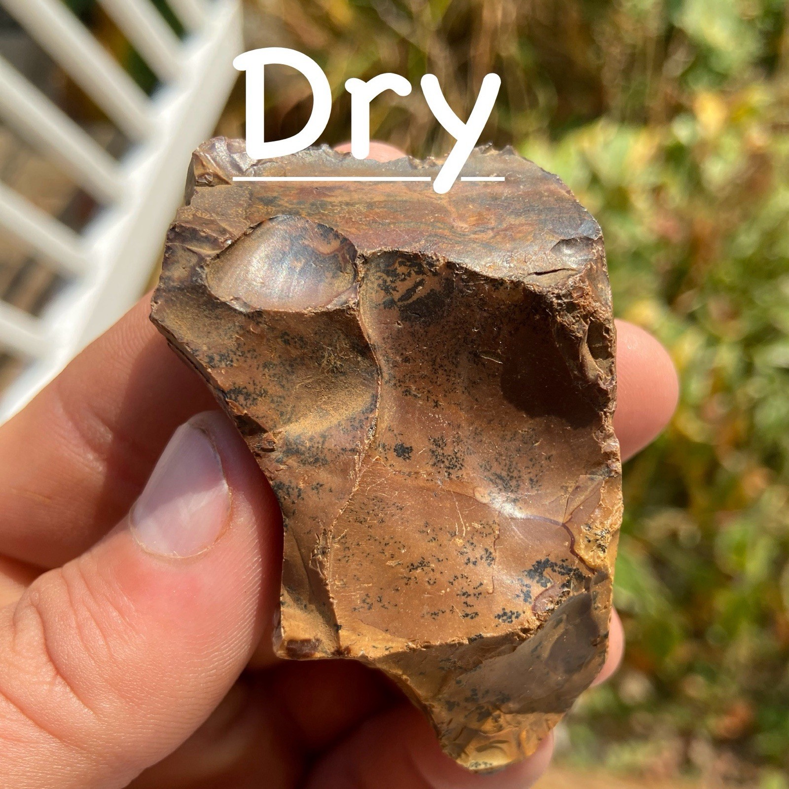 Gorgeous Brown Dendritic Jasper Rough 2.22 Oz