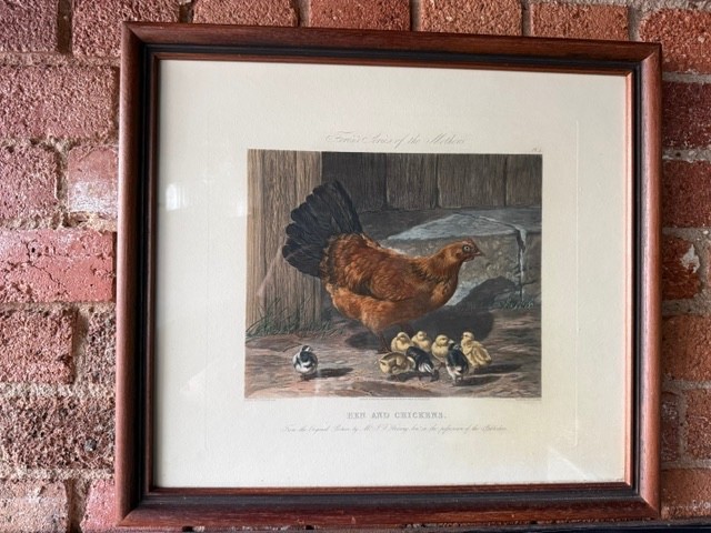 J.F. Herring Fores's Series Of The Mothers - Hens and Chickens