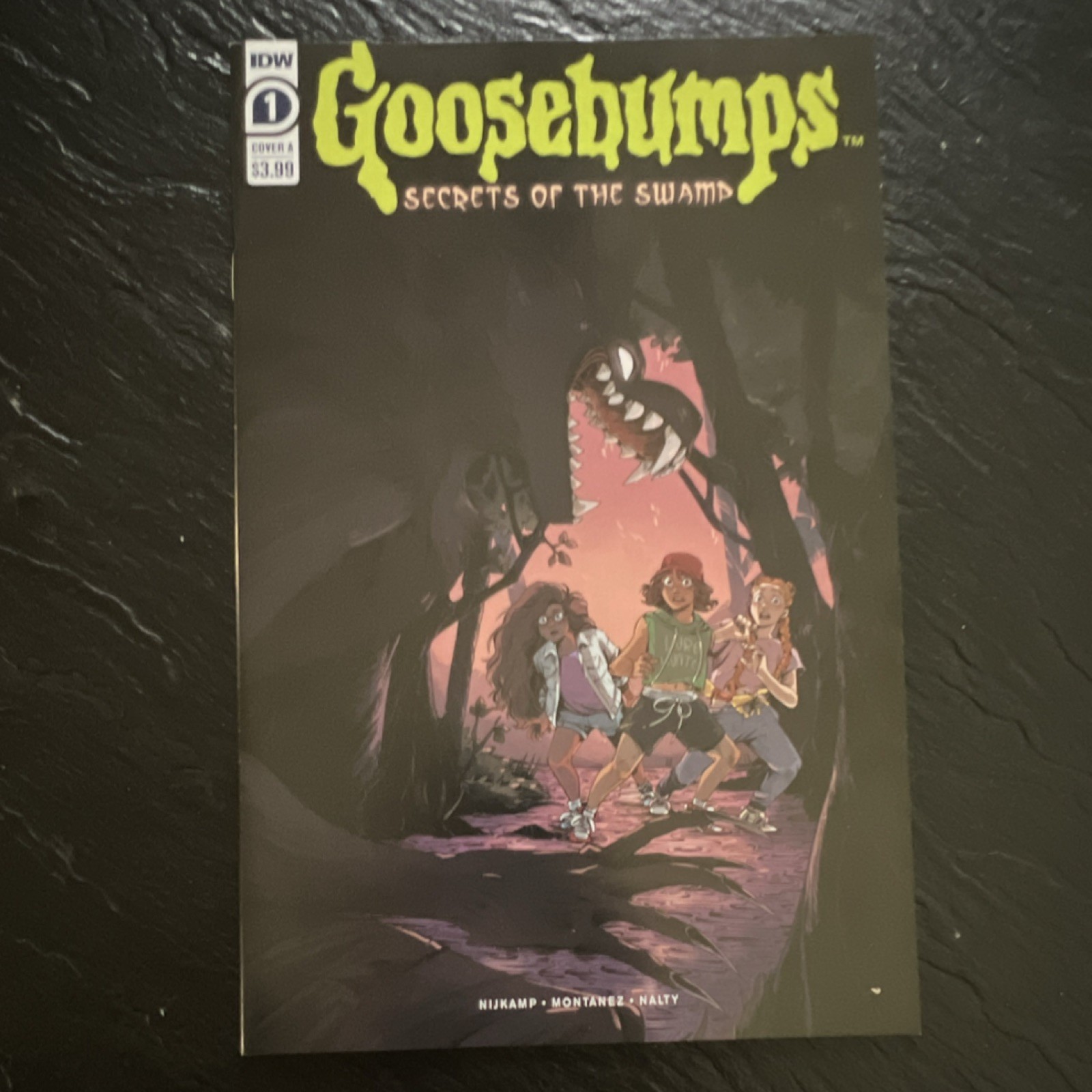IDW Publishing Goosebumps: Secrets of the Swamp #1 Cover A Comic Book