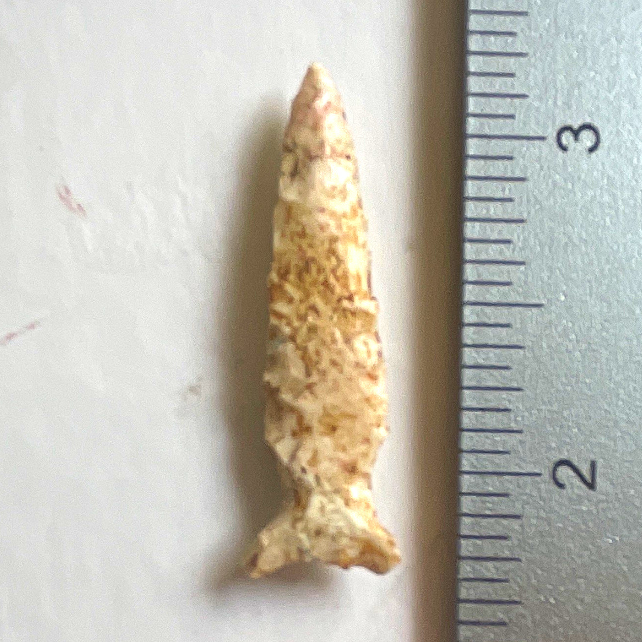Authentic Native American Edward point from Central Texas ArtiFact