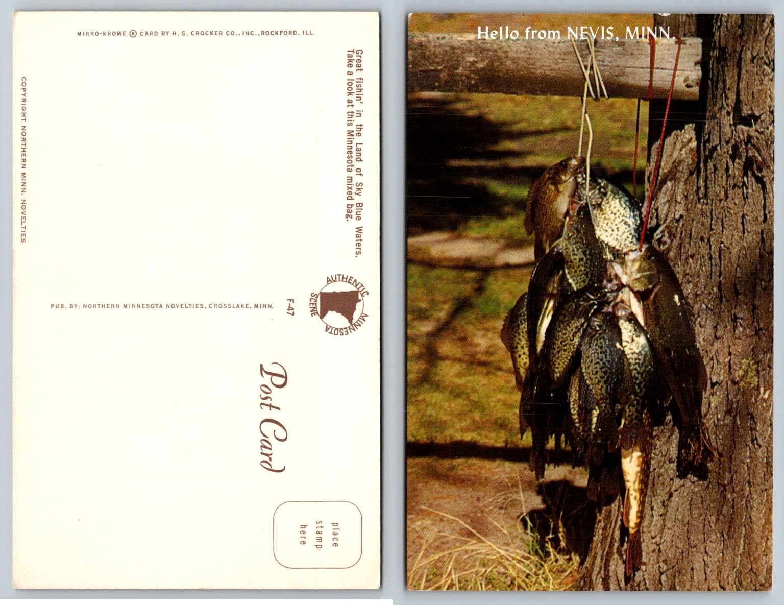 Vintage Postcard Nevis, Minnesota Fishing Mixed Bag Mirro-Krome F-47