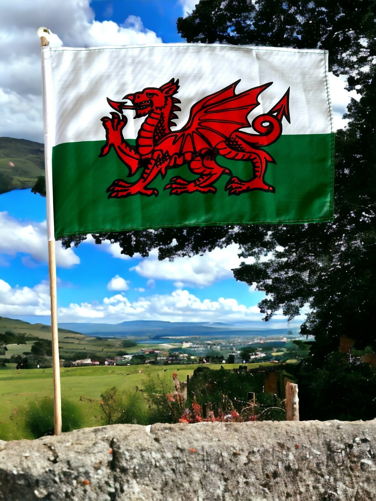 WALES 18\