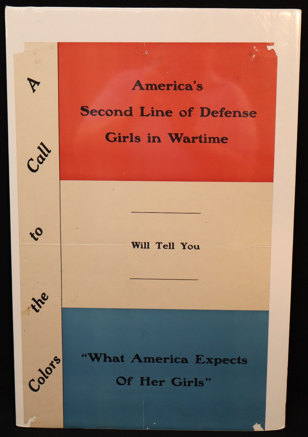 WWI US Home Front America's 2nd Line of Defense Girls in Wartime Poster 22 x 14