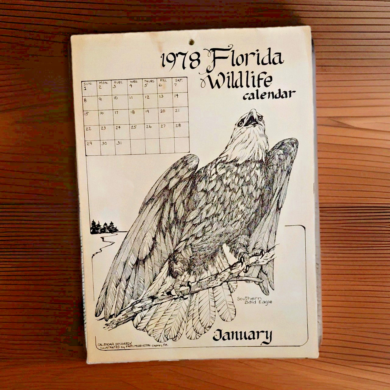 1978 Florida Wildlife Calendar Designed & Illustrated by Patti Middleton Vintage