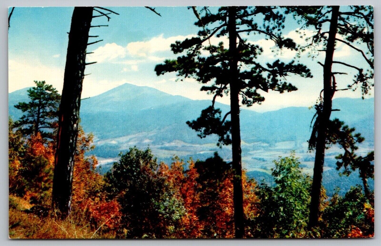 Peaks Otter Blue Ridge Parkway Virginia Recreational Area Sharp Top VNG Postcard