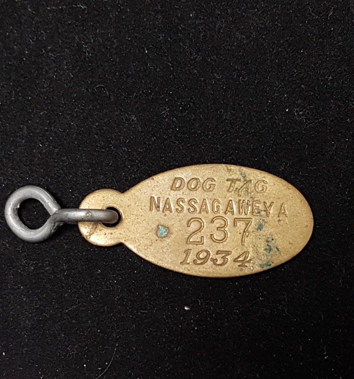 Antique Brass Dog Tag Nassagaweya, Ontario 1934. Excellent Condition.