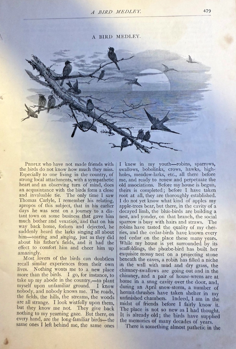 1876 A Bird Medley by Naturalist John Burroughs illustrated