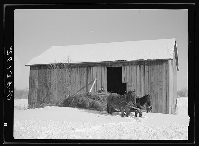 Photo:Oswego County New York 1937 Loading Hay Horse Team Barn