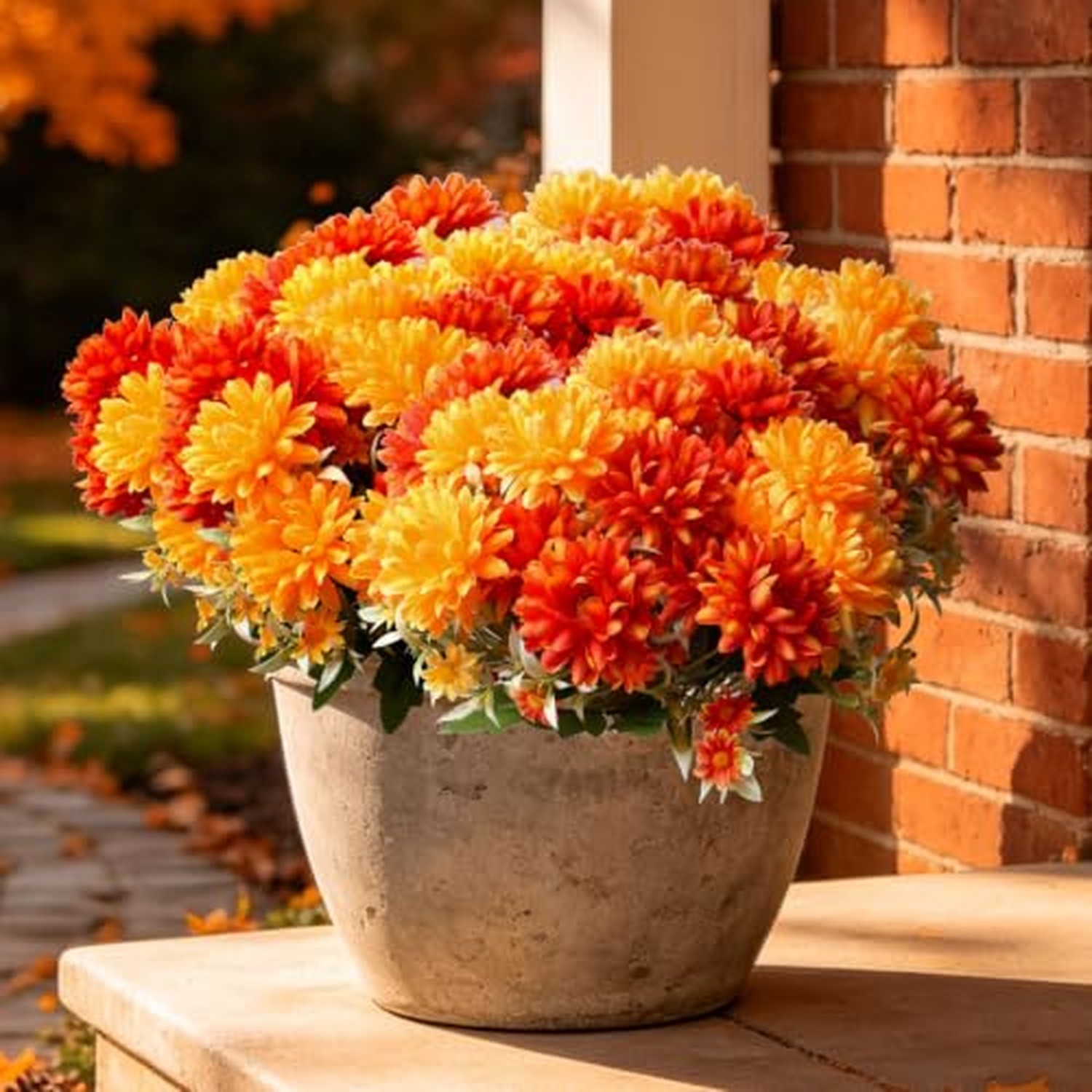 Artificial Fall Flowers Mums Plants for Outdoor, UV Resistant Faux Marigold 6 Artificial Fall Flowers Mums Plants for Outdoor, UV Resistant Faux Marigold 6