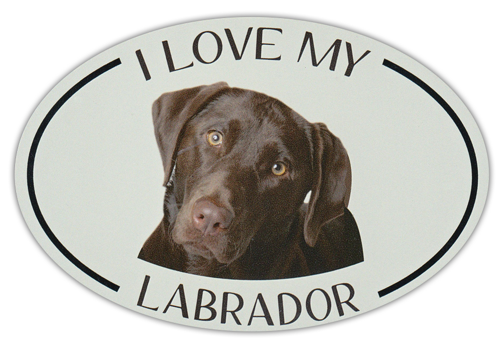 Oval Dog Breed Picture Car Magnet - I Love My Labrador (Chocolate Lab)