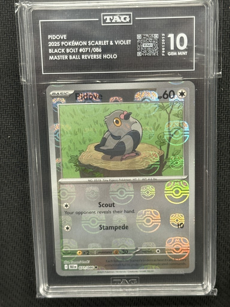 Pidove  Pokemon Black Bolt Master Ball Reverse Holo TAG 10 PSA #071/086