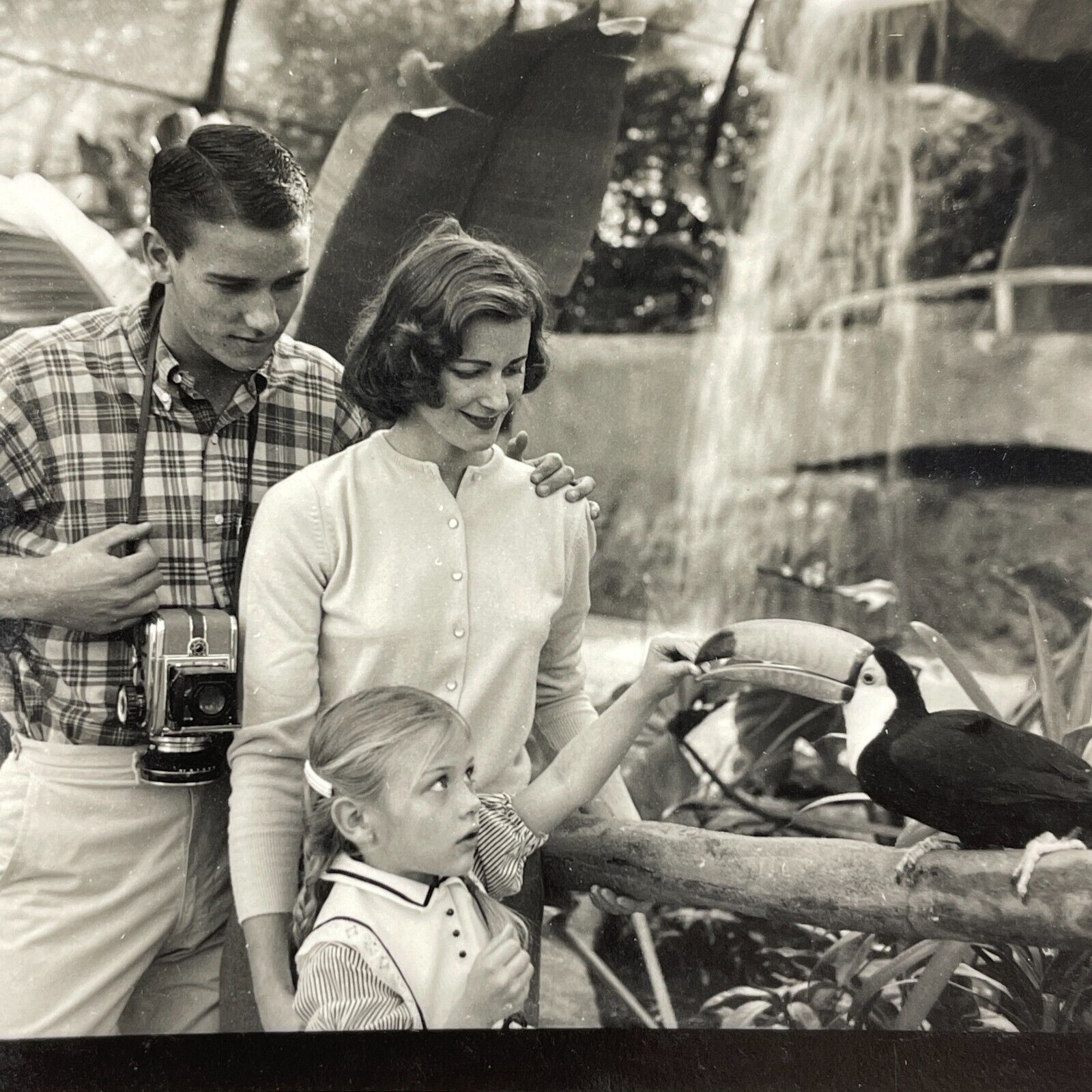 FA Photograph Couple Daughter Girl Feeding Tucan Zoo