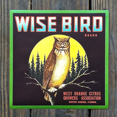 Vintage Original 1930s WISE BIRD ORANGE FRUIT CRATE Box Label Unused NOS Owl