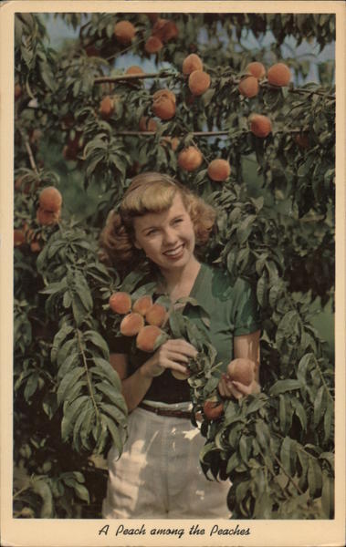 Women A Peach Among the Peaches Teich Chrome Postcard Vintage Post Card