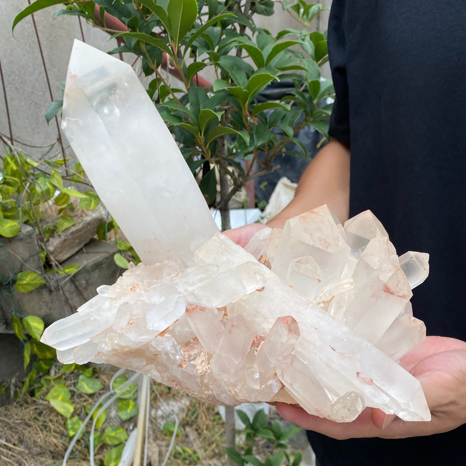 10.2lb Natural Clear White Quartz Crystal Cluster Rough Healing Specimen