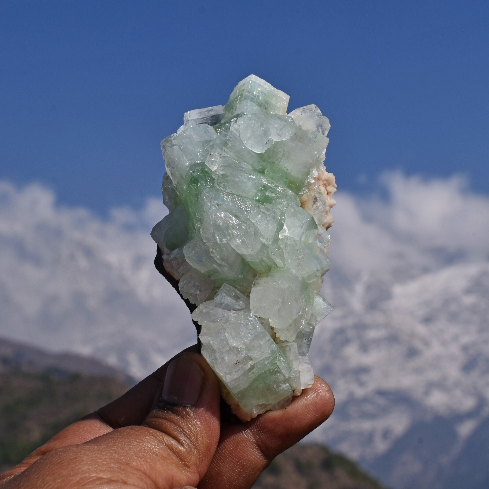 GREEN FLUORAPOPHYLLITE-K APOPHYLLITE Crystal Cluster. Mineral specimen. HEALER