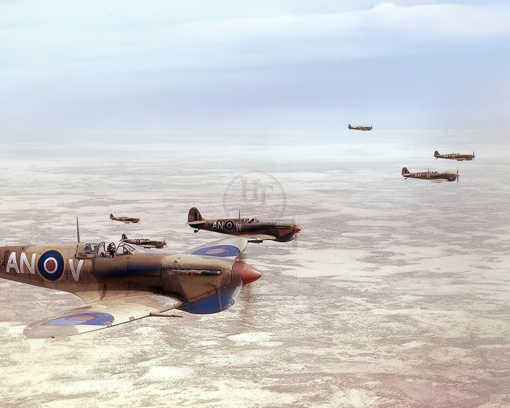 Spitfires in Loose Formation by Supermarine 8x10 Glossy Photo Print HT8479986