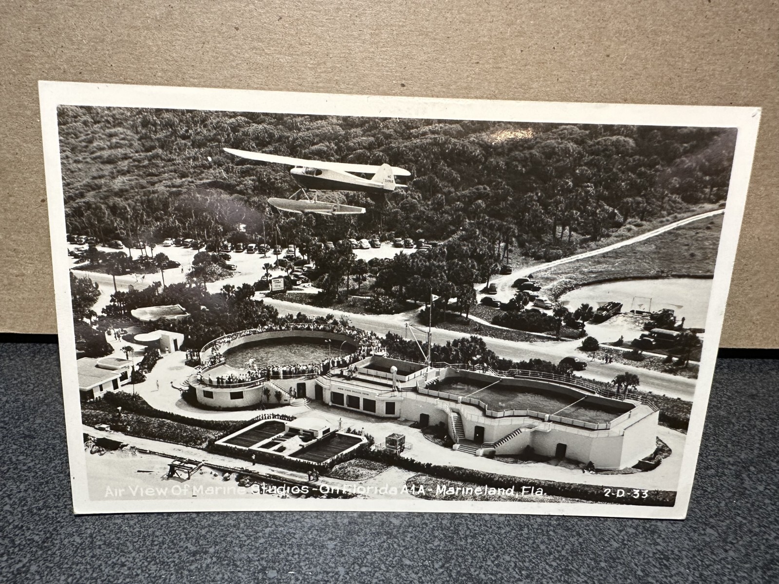 Marine Studios, Marineland FLA., 1939 USA Collectible Unposted Postcard