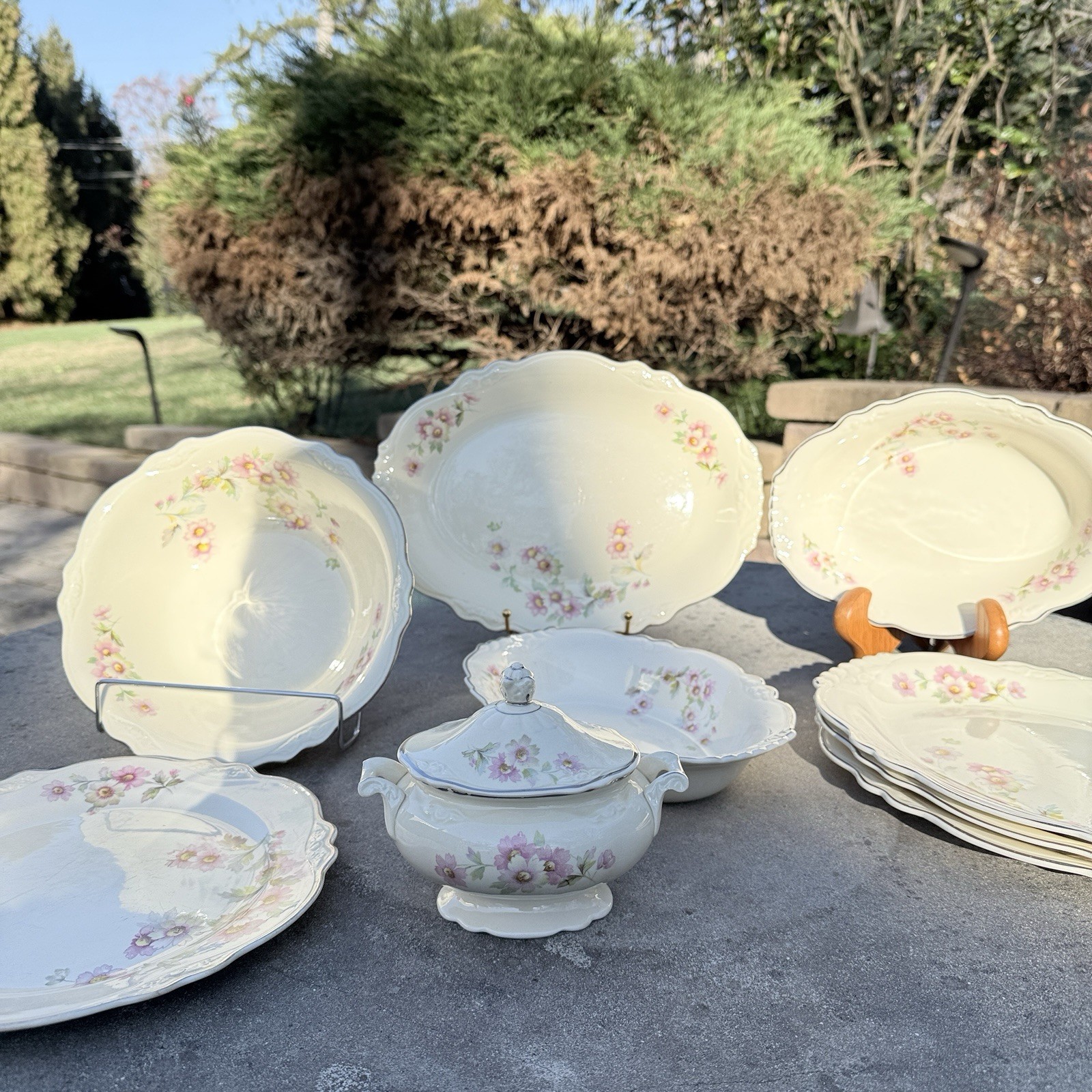 VTG Homer Laughlin Virginia Rose Moss Rose Set of 10 GrannyCore ShabbyChic Pink