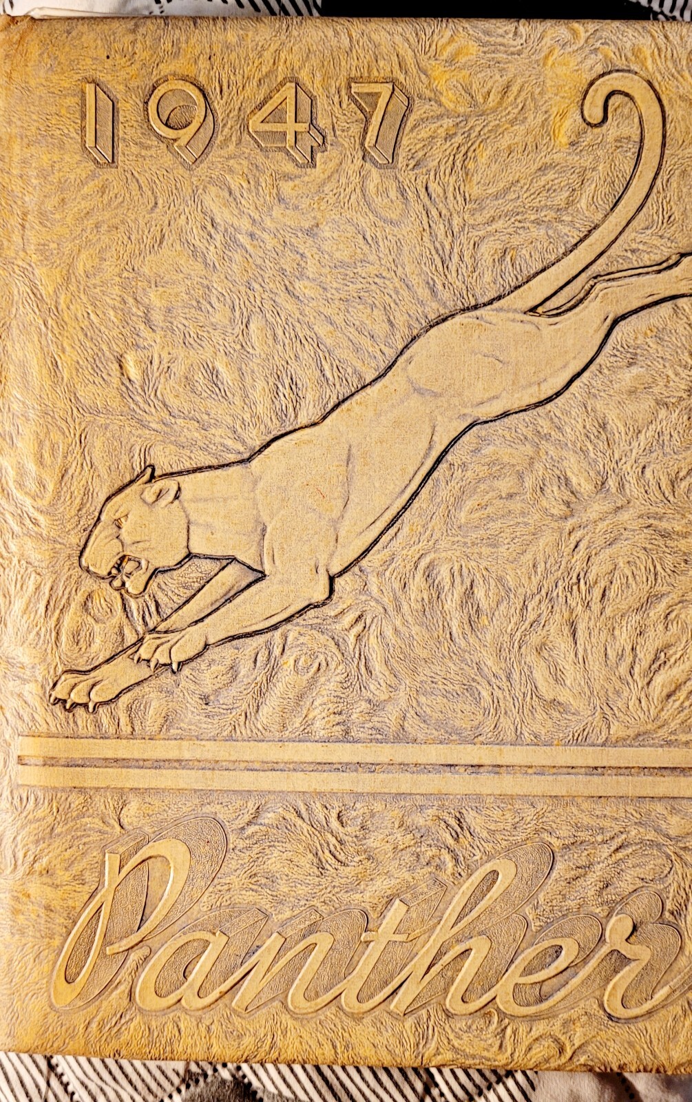  North Carolina Vtg 1947 Scotts Highschool The Panther Yearbook School 