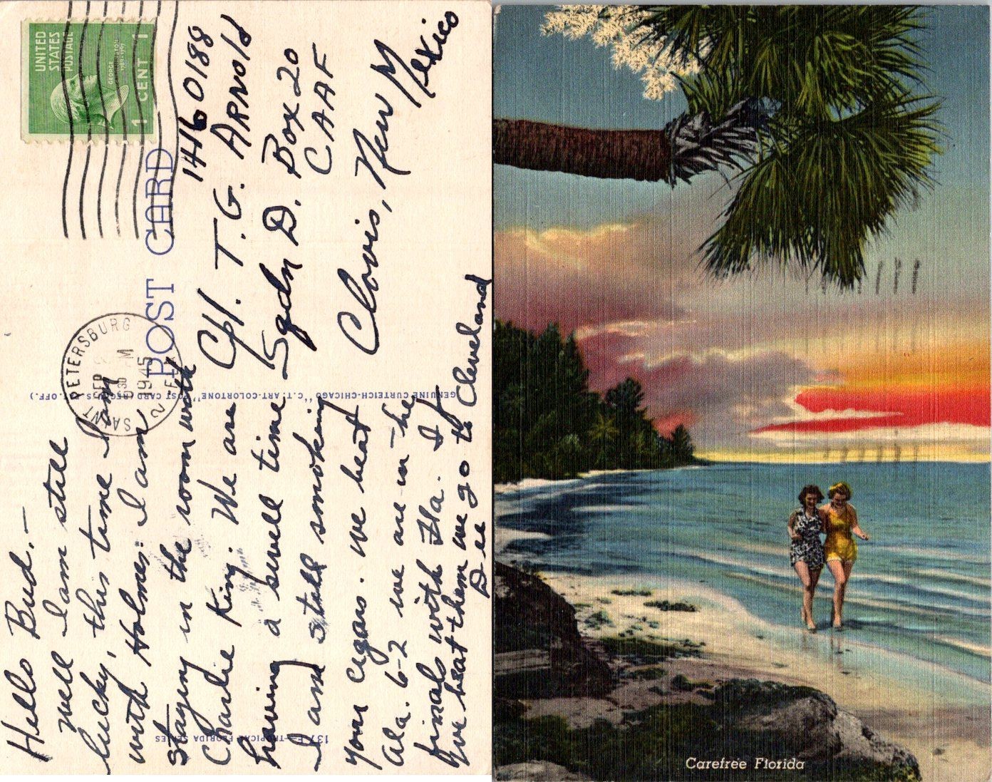 Vintage Carefree Florida Postcard Mailed St Petersburg FL Curt Teich 1c Stamp