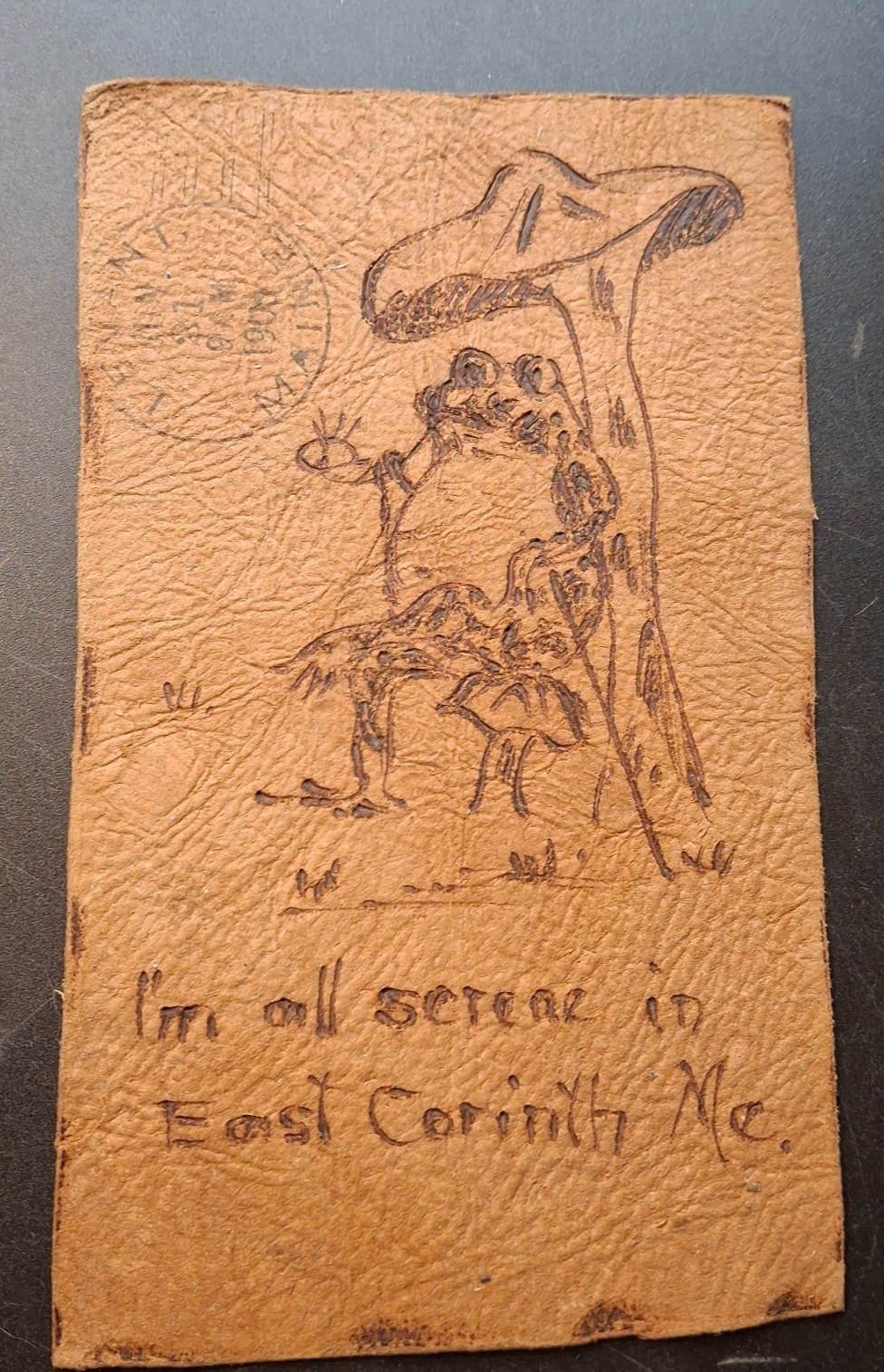 East Corinth ME Frog & Mushroom Leather Postcard 1905