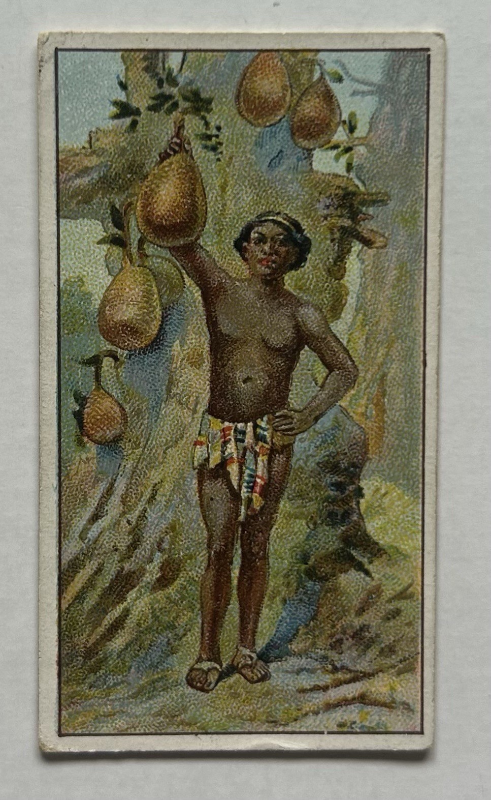 Morris Marvels Universe Vegetable Bread Jackfruit Tobacco Card CC7