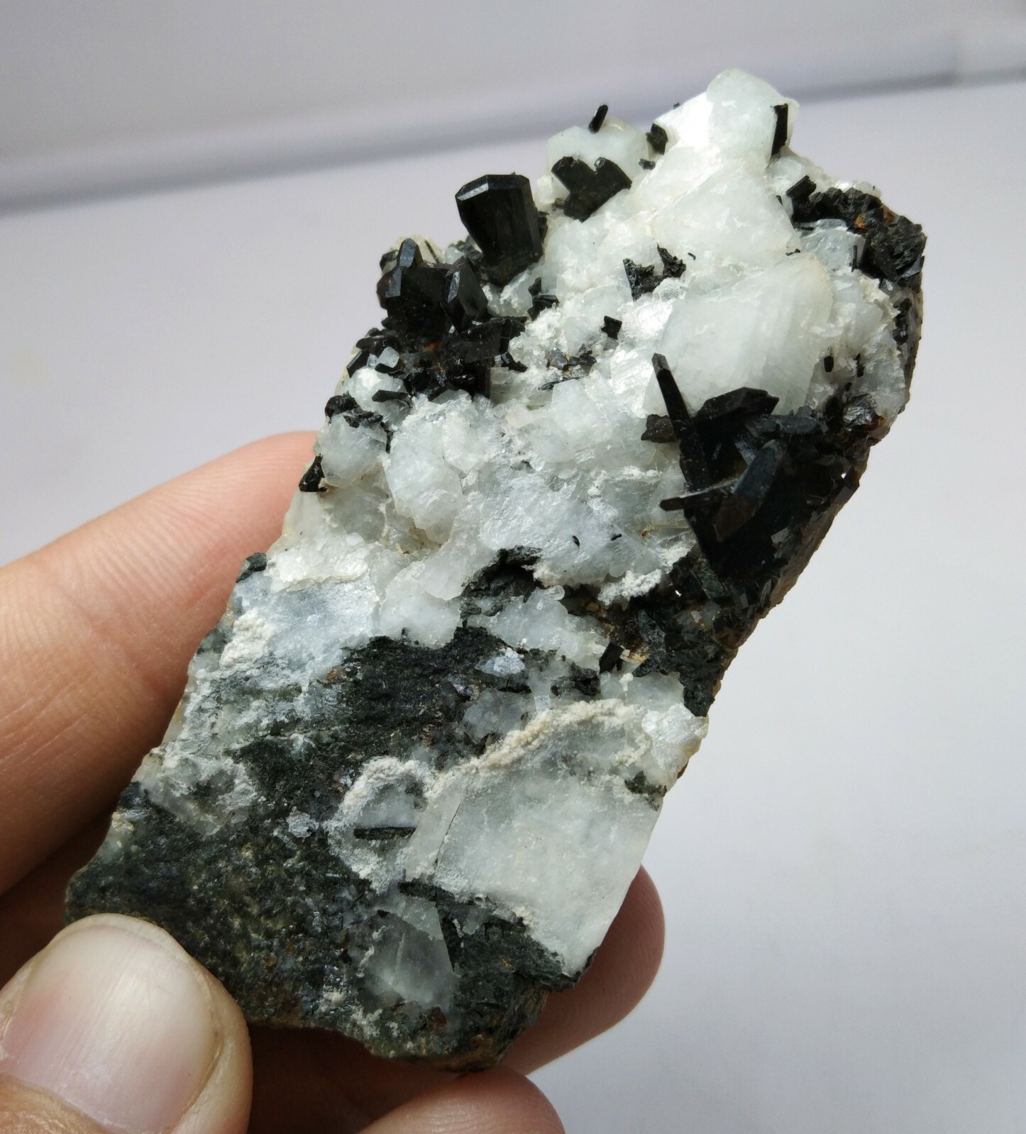 Rare Allanite-(Ce) with garnet and Albite on matrix, combo