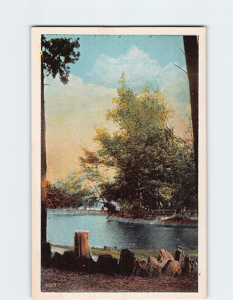 Postcard Picturesque River Scene