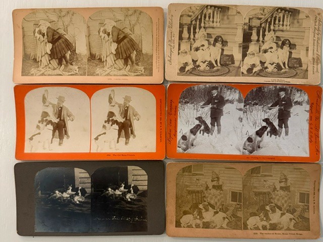 6 Antique Dog Stereoviews Hunting Dogs Puppies Cats Children Kilburn 1880s 6 Antique Dog Stereoviews Hunting Dogs Puppies Cats Children Kilburn 1880s