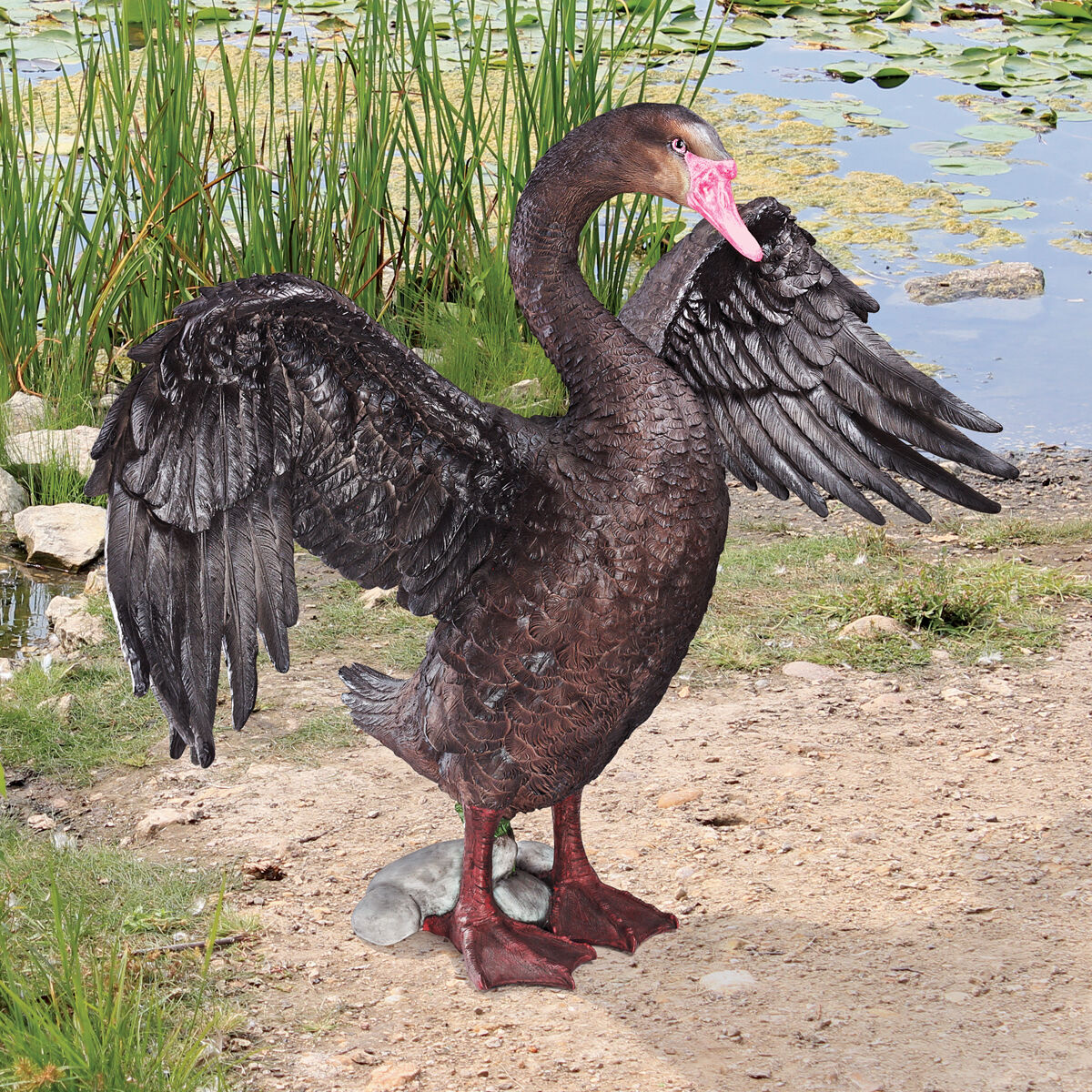 Majestic Black Swan Standing Sunning Wings Home Garden Gallery Statue Sculpture