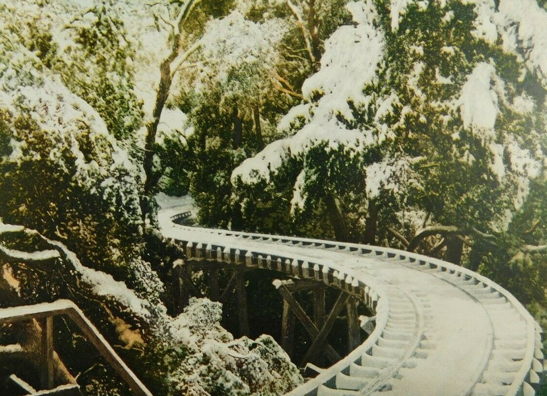 Scene Along Pacific Electric Hallway Mt Lowe CA Posted Divided Back Postcard