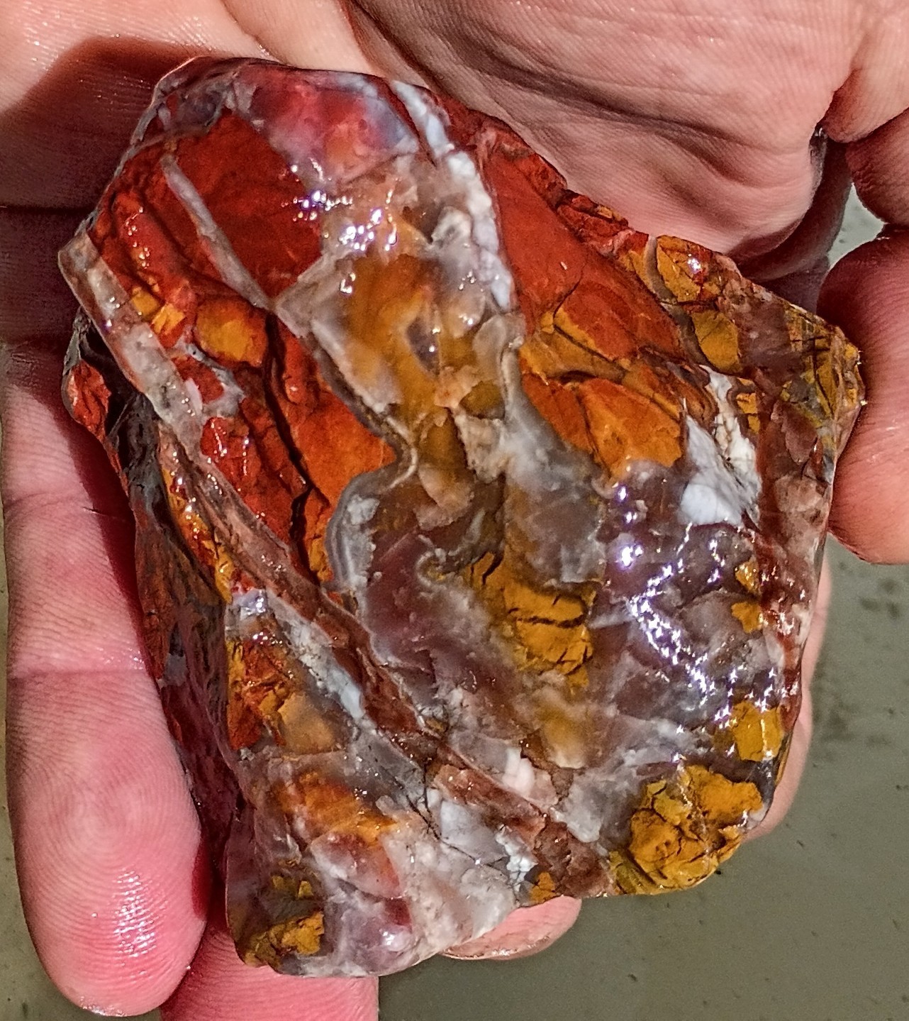 Premium California Central Coast Brecciated Jasper Agate. Lapidary. 14.9oz.