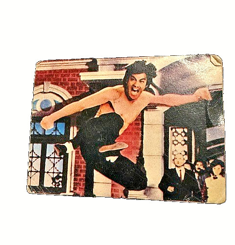 Vintage Japanese Bruce Lee Menko Card Lot - Kenrick TOWA Martial Arts Set #14
