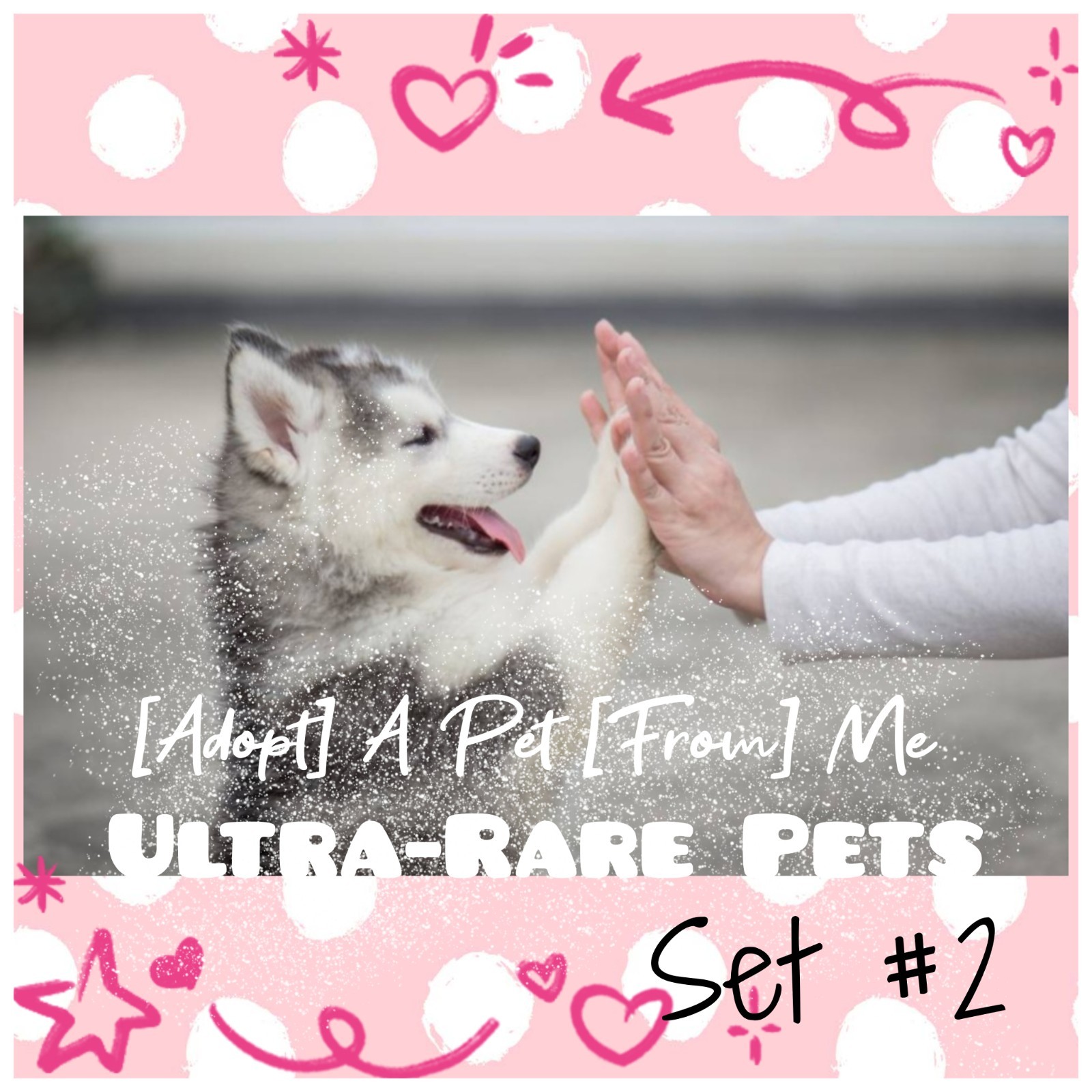 🌸 AM (All Stuff FRM M3) Today 🌸 🌟Ultra-Rare🌟 S2 🖤 FR 💜 F 💚 R 🩵 NP 💖