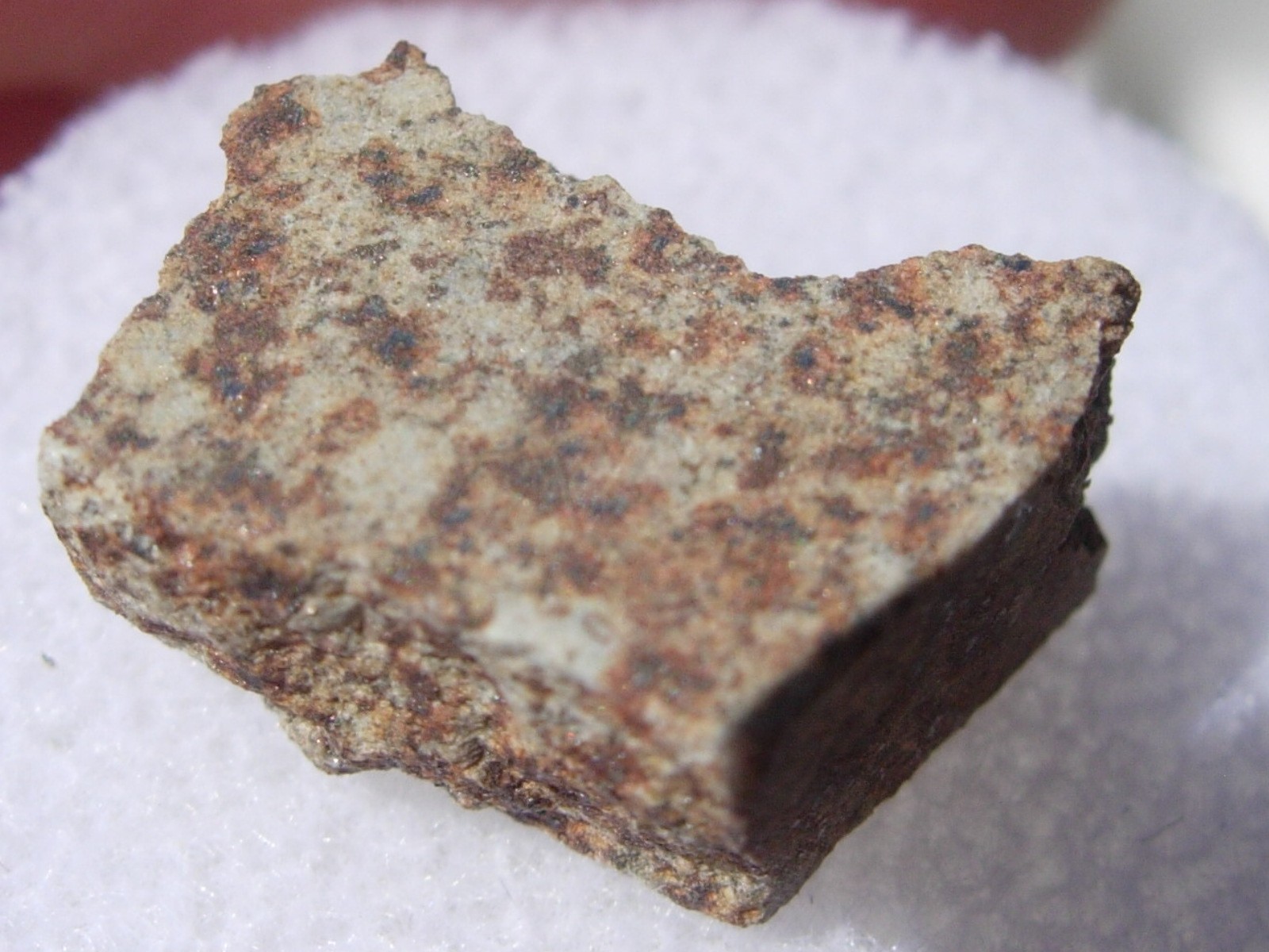 1.93 grams NWA 515 Meteorite - class L6 - fragment NorthWest Africa with COA
