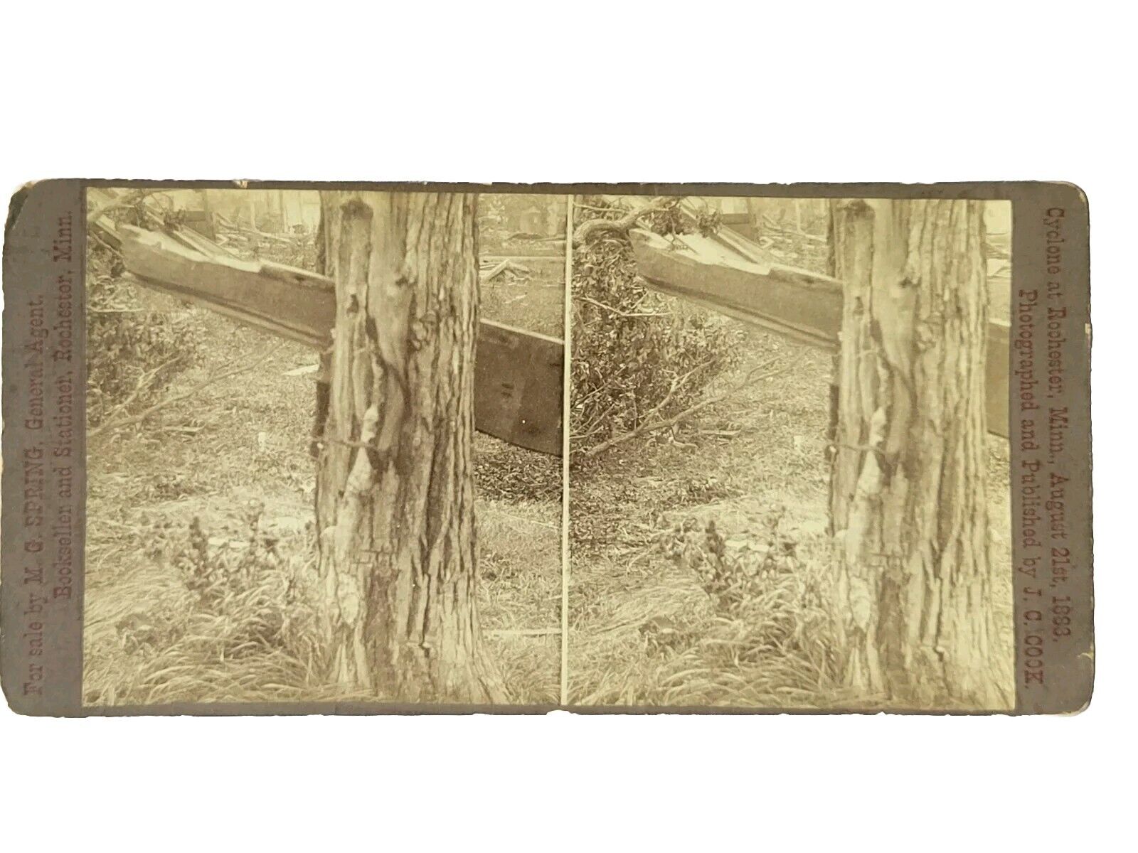 Antique Stereoview 1883 Rochester MN Tornados Force Wood Plank 14