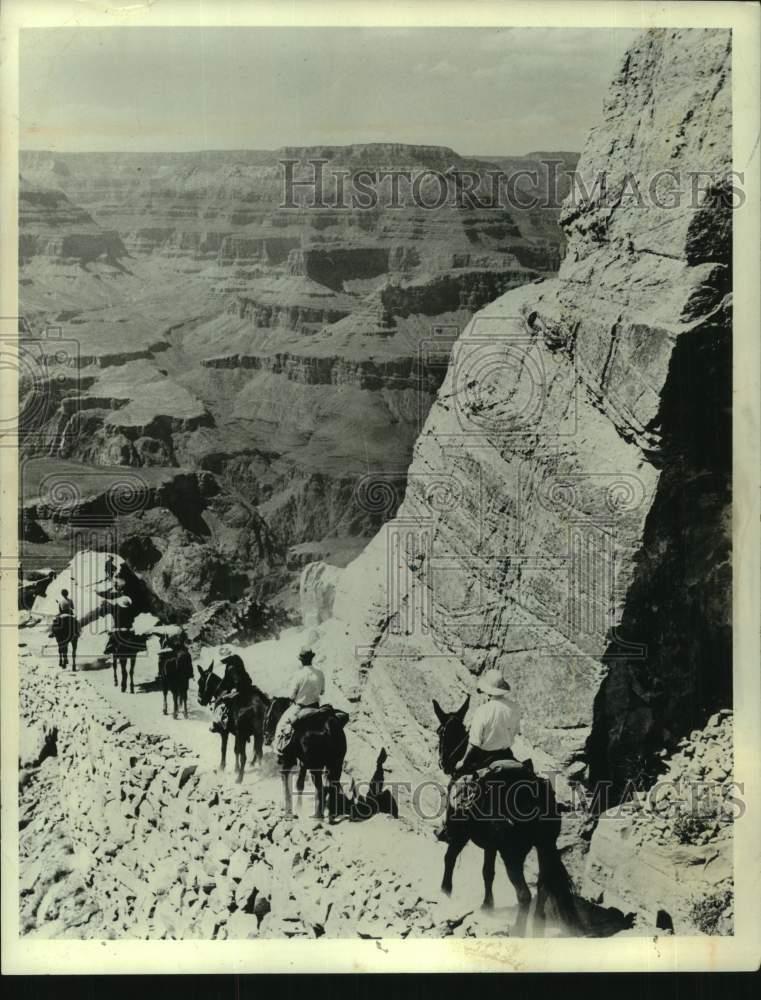 1974 Press Photo Grand Canyon visitors riding in mules and enjoying park's view