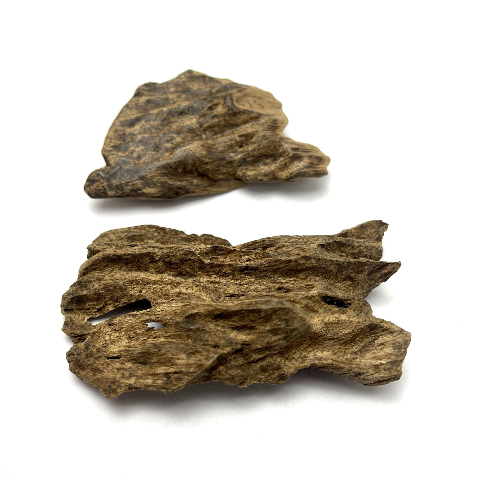 8grams Collective Wild Peninsular Aquilaria Soil Agarwood Piece 西马野生重油好香土沉沉香块